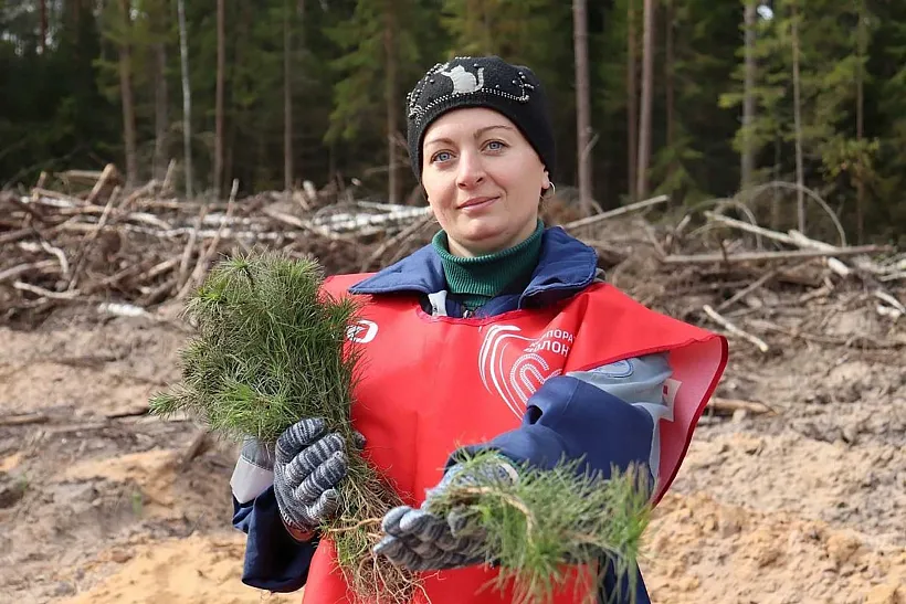 В&nbsp;Смоленской области высадили почти 160&nbsp;тысяч саженцев деревьев