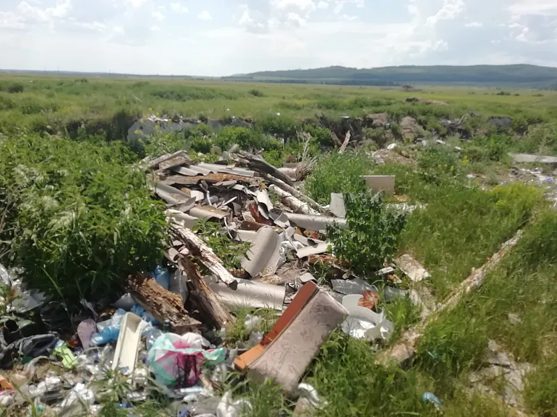 В&nbsp;Челябинской области ликвидировано более 400&nbsp;несанкционированных свалок