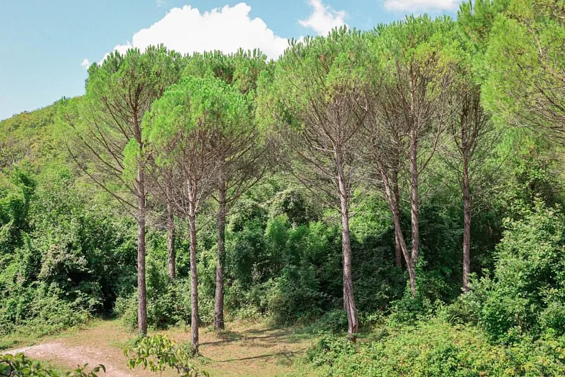 На&nbsp;Кубани выросла площадь особо охраняемых природных территорий