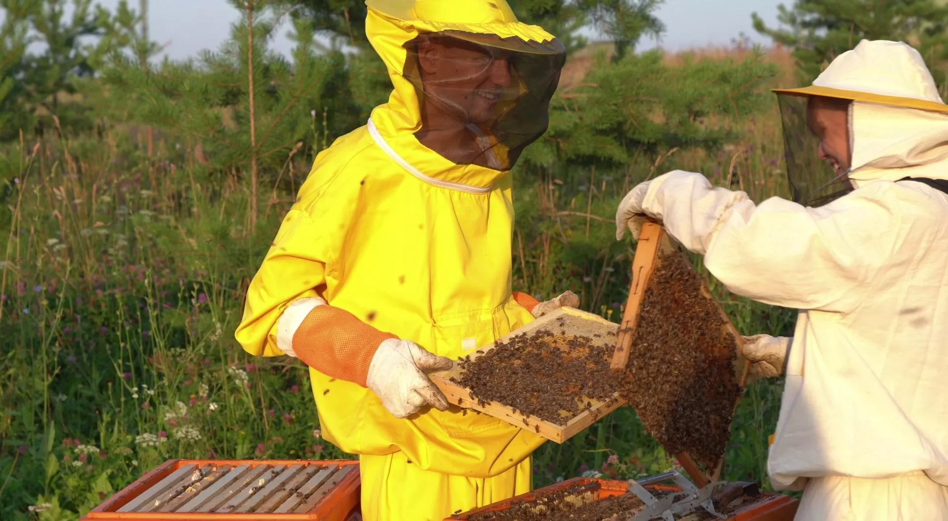 Управление массовых коммуникаций Кировской области
