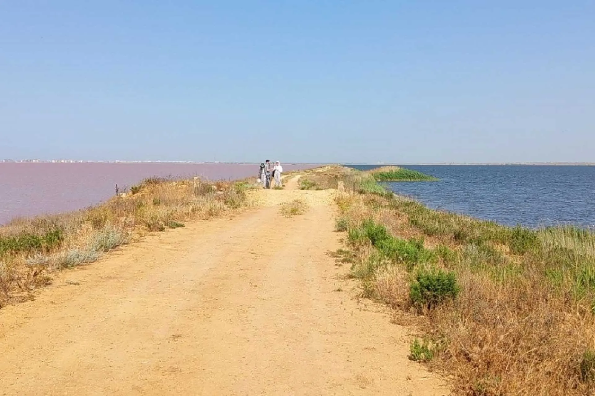 ФГБОУ ВО "Санкт-Петербургский государственный университет"