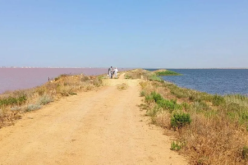 Петербургские экологи выявили загрязнение соленых водоемов в&nbsp;Крыму