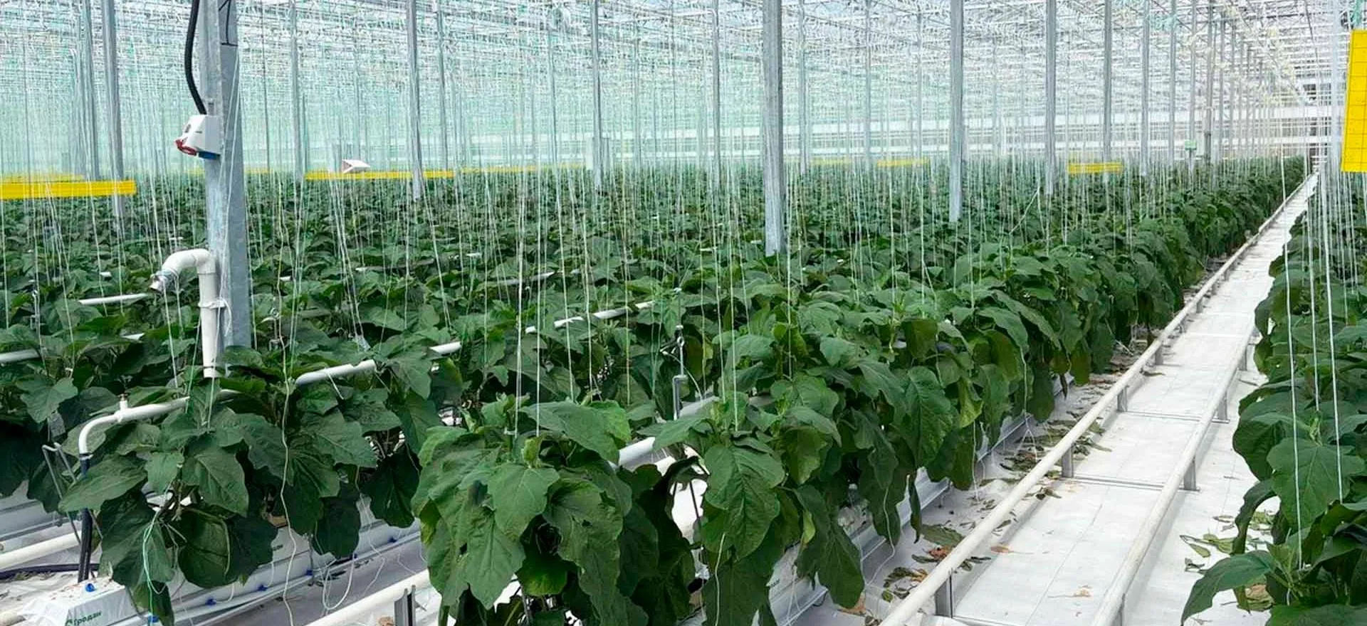 Министерство сельского хозяйства и продовольствия Рязанской области