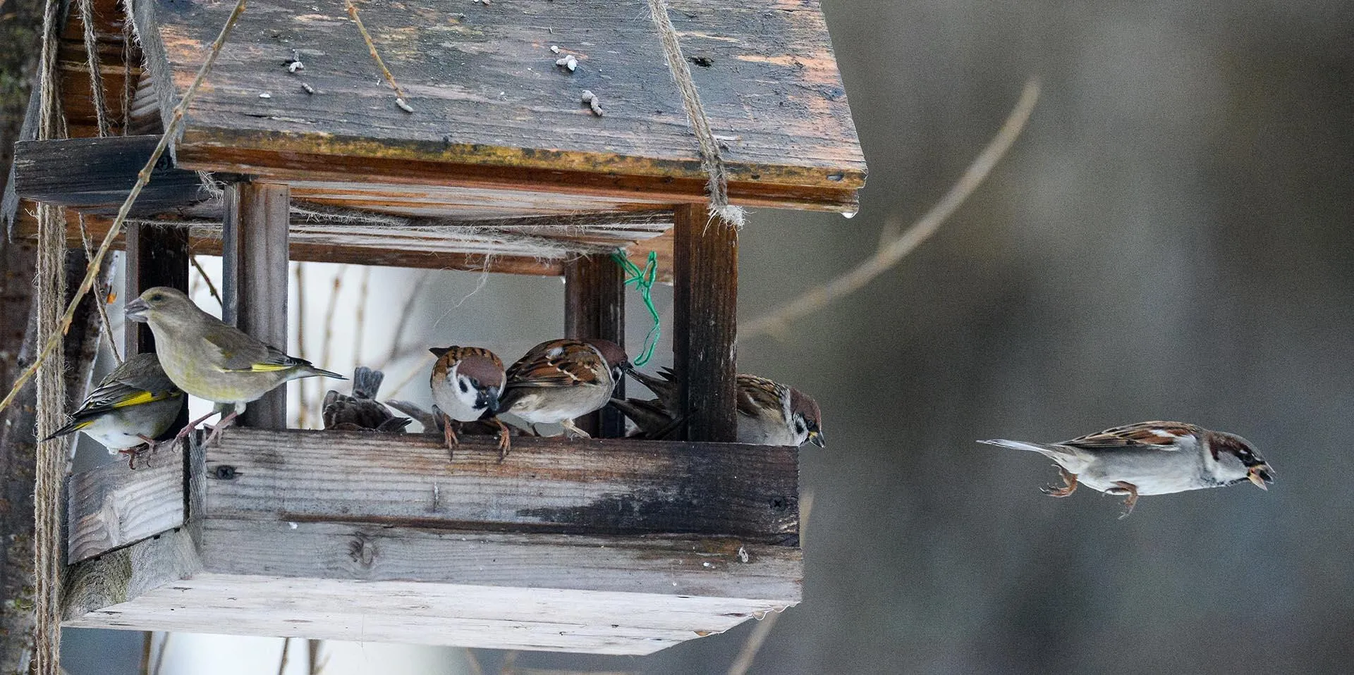 Владимир Сергеев/РИА Новости