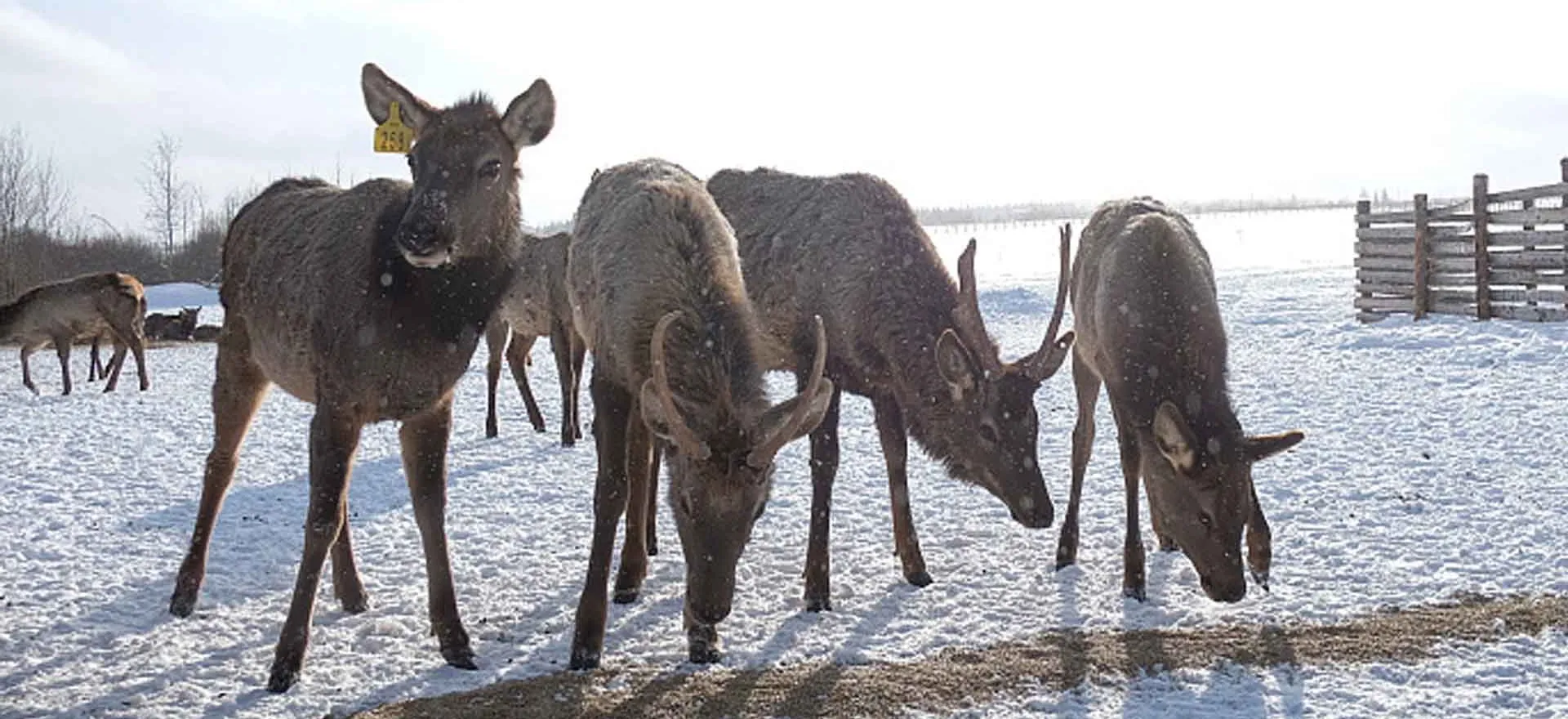 Управление массовых коммуникаций Кировской области