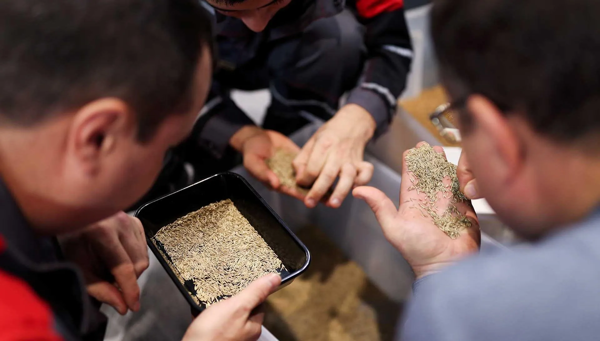 Виталий Тимкив/РИА Новости