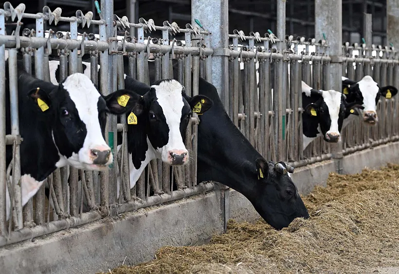 Студенты из&nbsp;Томской области стали стипендиатами федерального конкурса