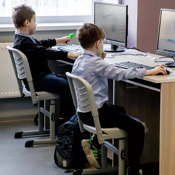 Учащимся Ульяновской области расскажут о&nbsp;технологиях интернет-торговли