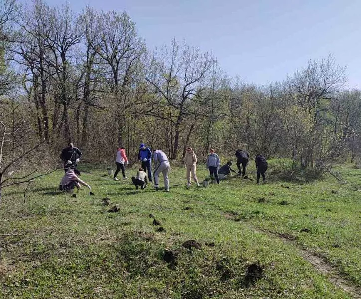 В&nbsp;Саратове на&nbsp;Кумысной поляне высадили почти две тысячи юных деревьев