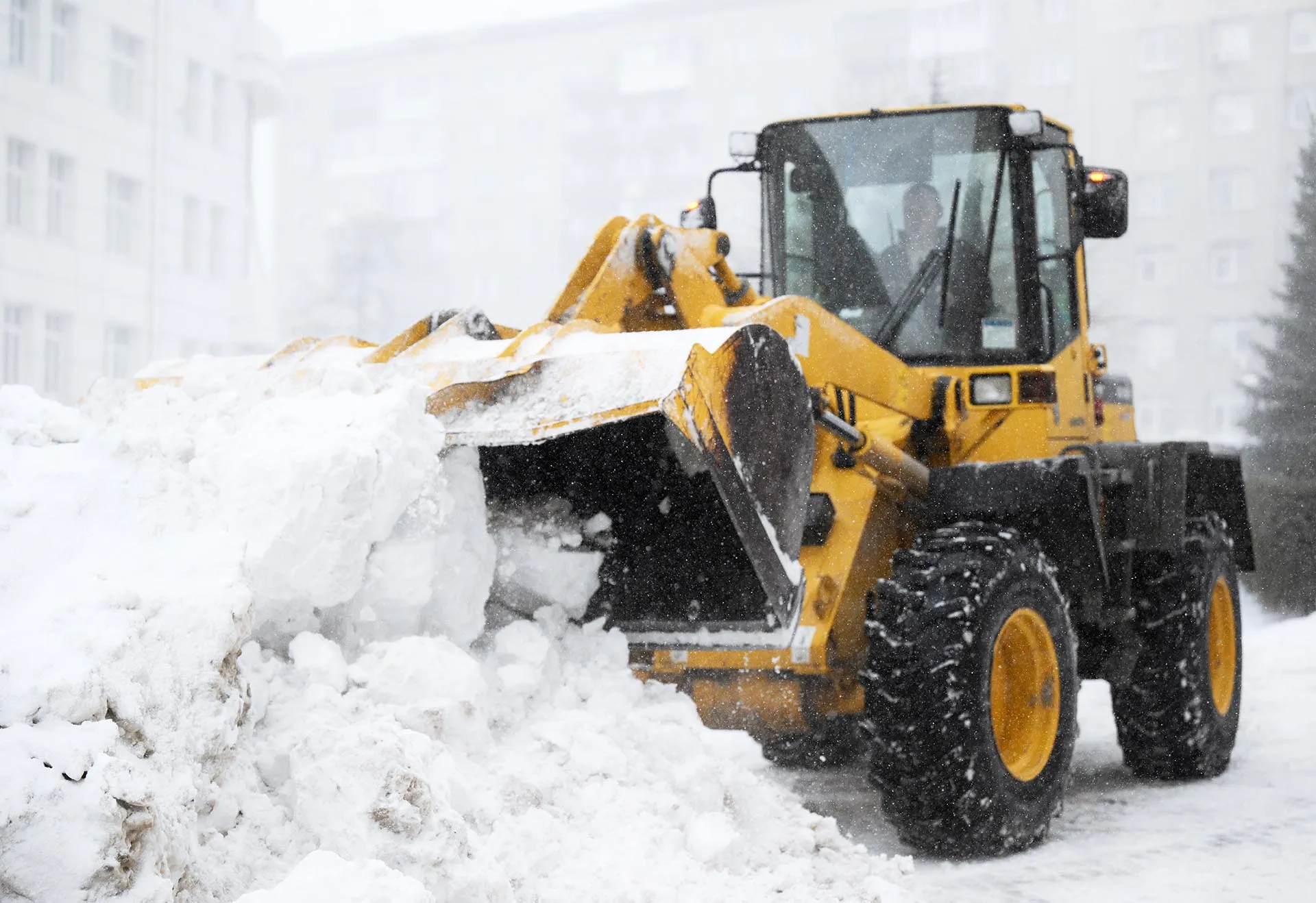 Александр Кряжев/РИА Новости
