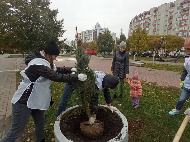 Акция &laquo;Единый день посадки леса&raquo; прошла в&nbsp;трех городах Саратовской области
