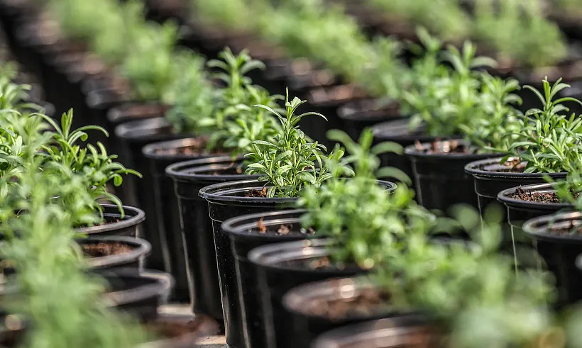 В&nbsp;школах Табасаранского района Дагестана создадут агротехклассы