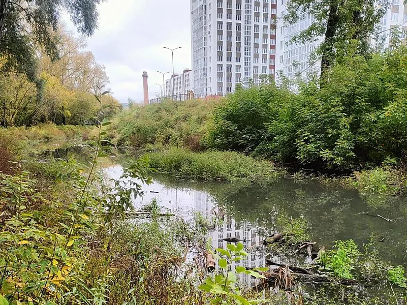 В&nbsp;Нижнем Новгороде расчистят от&nbsp;мусора реку Борзовку