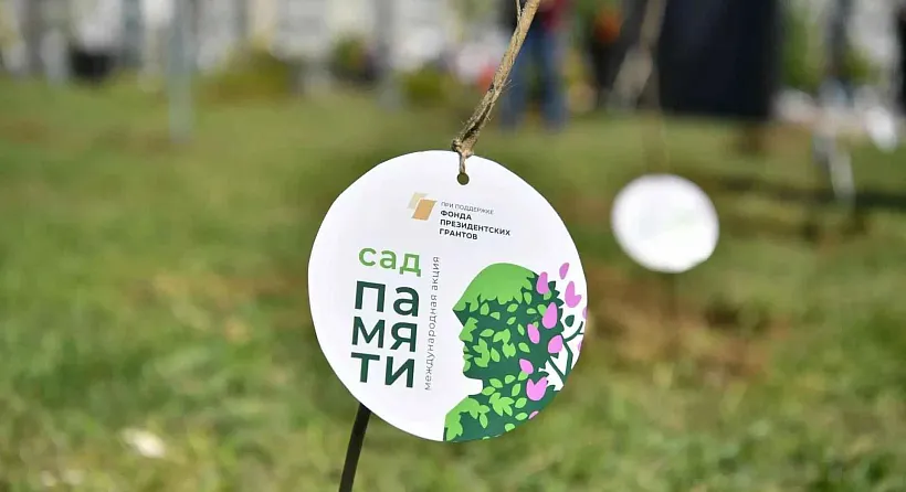 Осенью в&nbsp;Саратовской области высадят деревья на&nbsp;площади 1,3&nbsp;тысячи гектаров
