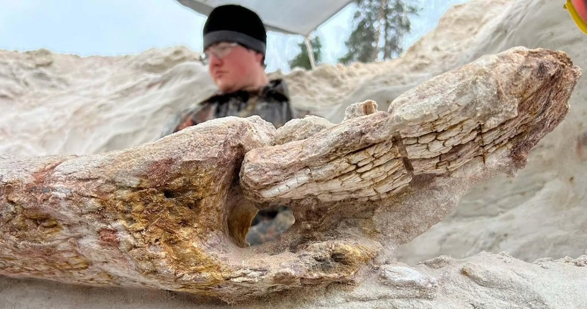 ФГБОУ ВО "Санкт-Петербургский государственный университет"