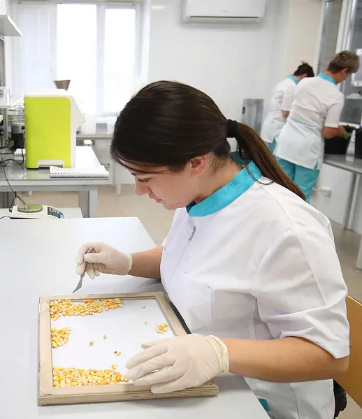 Кубанские ученые будут испытывать сорта сельхозкультур в&nbsp;Китае