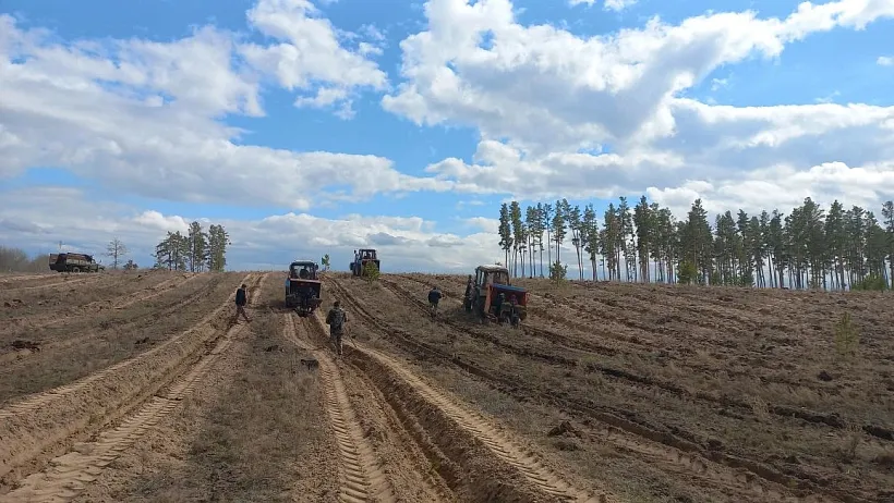 В&nbsp;Алтайском крае завершили весеннюю посадку лесных культур