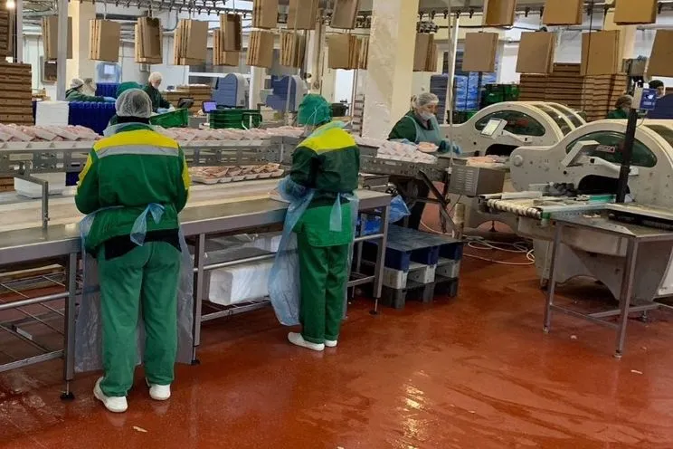 Донская компания на&nbsp;четверть увеличила производство полуфабрикатов из&nbsp;птицы