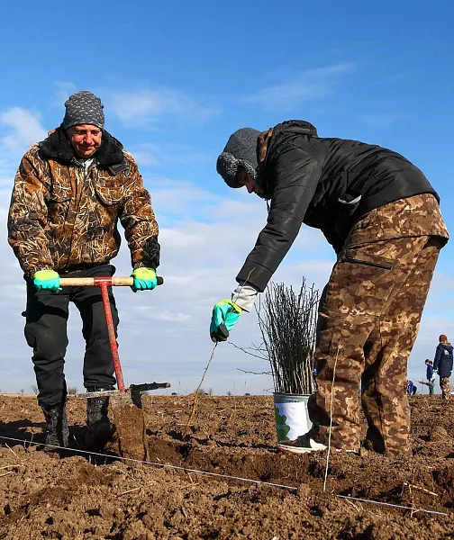 В&nbsp;Татарстане высадили леса на&nbsp;площади 1200&nbsp;гектаров