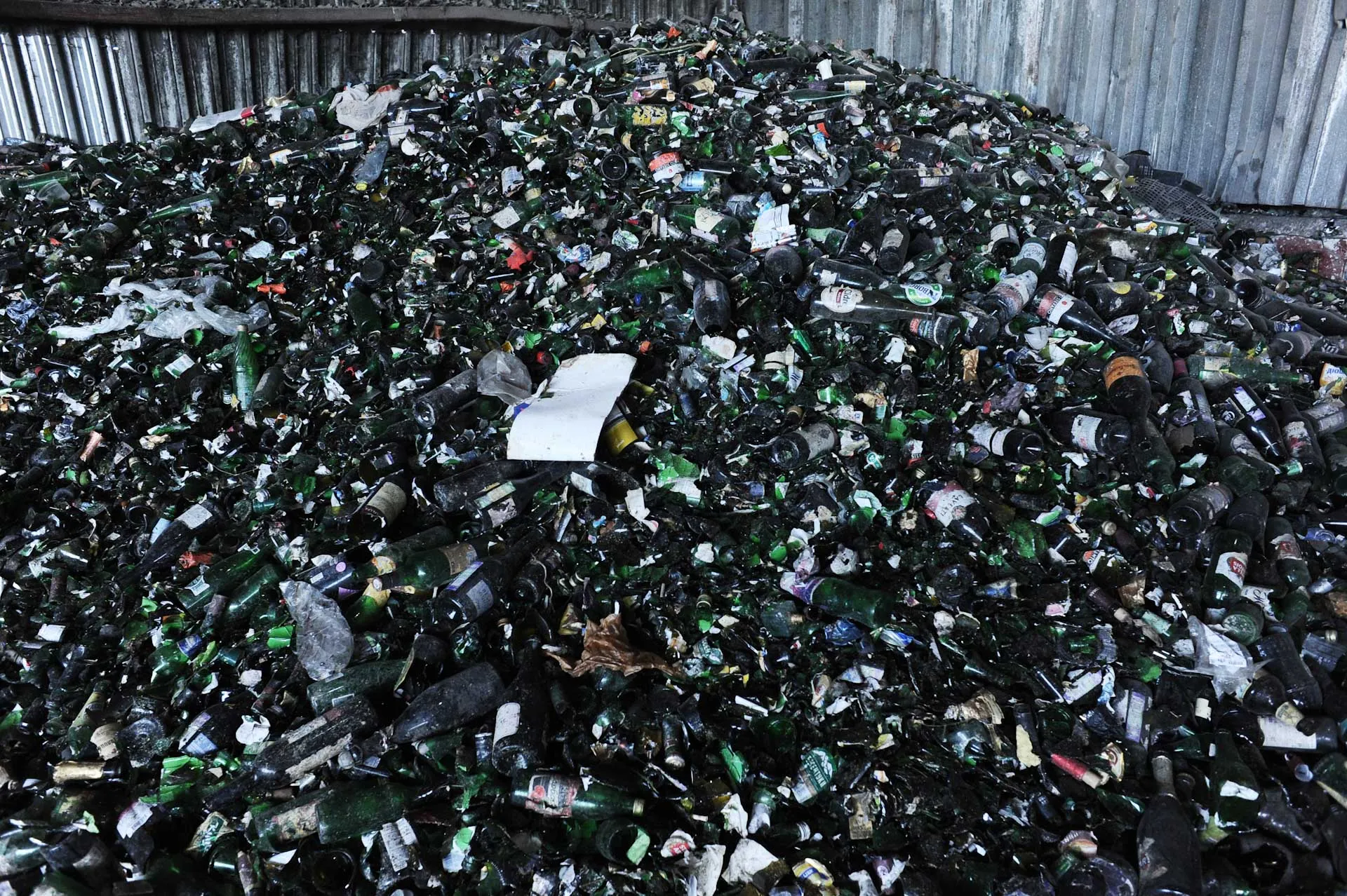 Алексей Сухоруков/РИА Новости