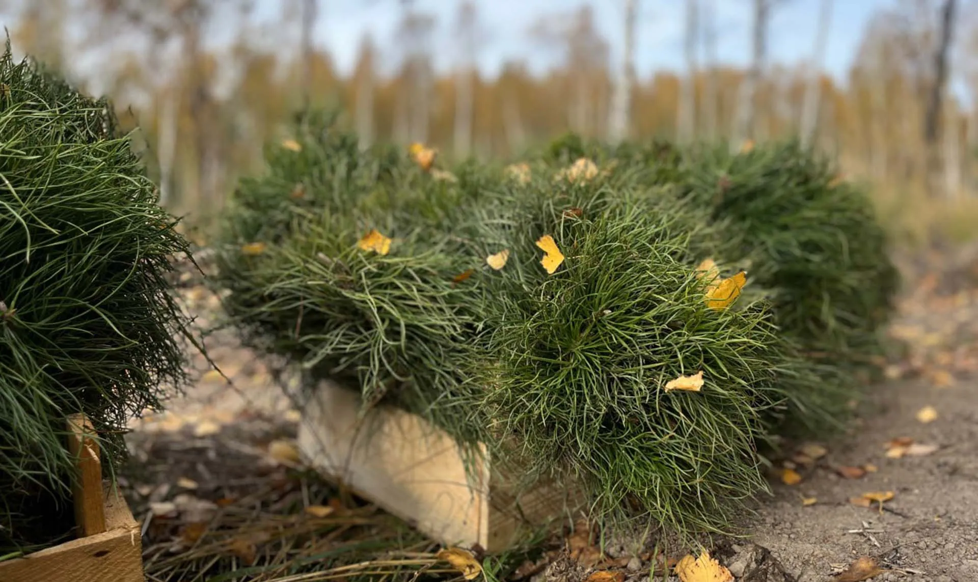  Пресс-служба Правительства Нижегородской области