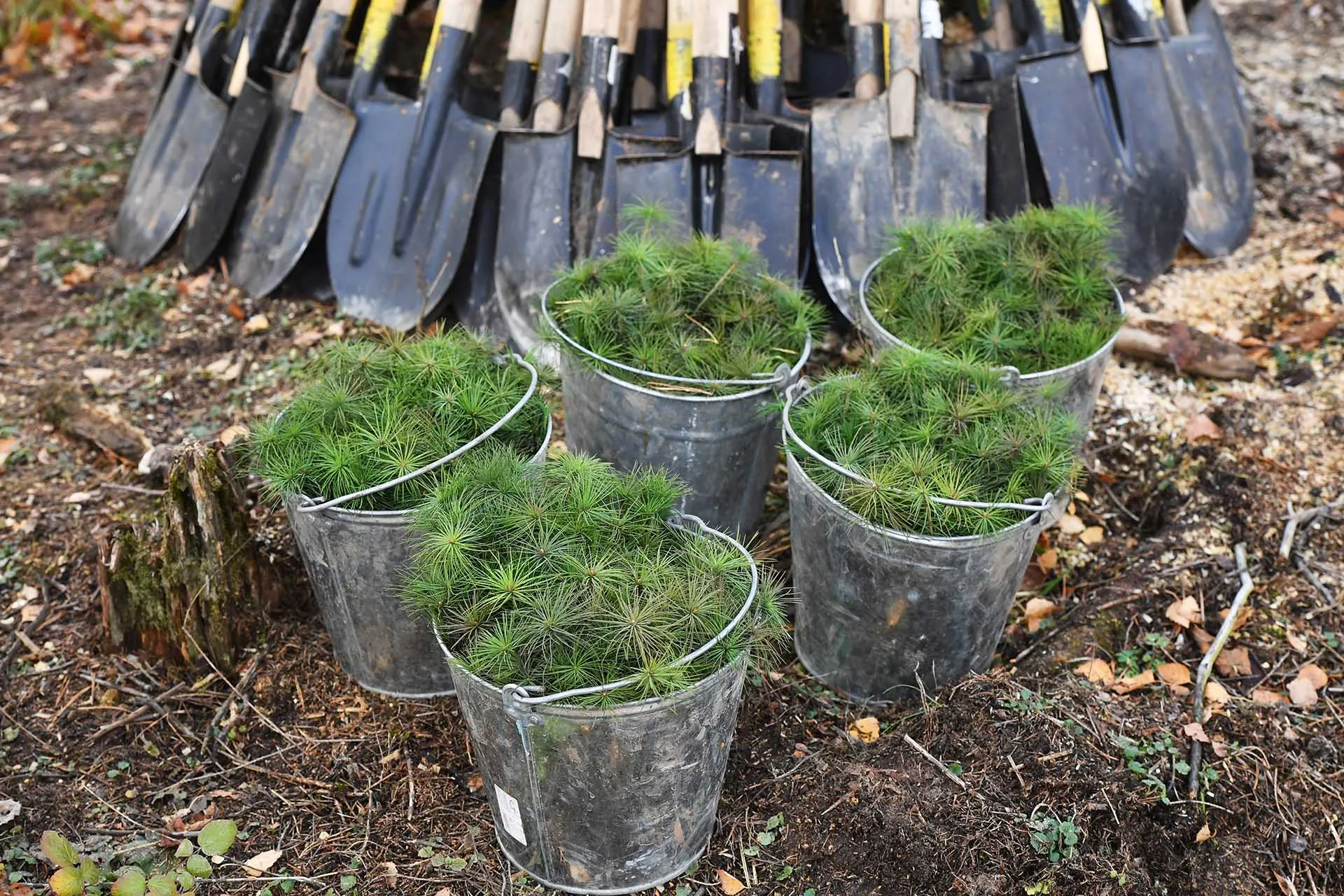 Михаил Воскресенский/РИА Новости