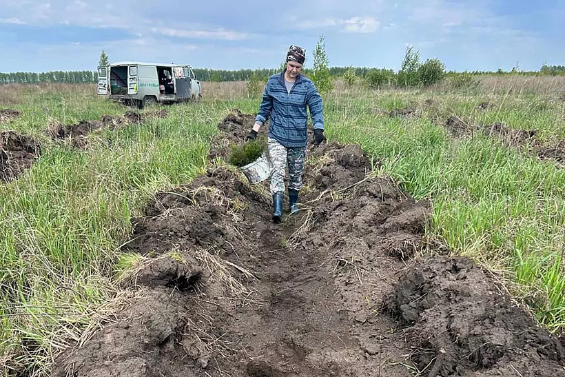 В&nbsp;Омской области высадили четыре &laquo;Сада памяти&raquo;