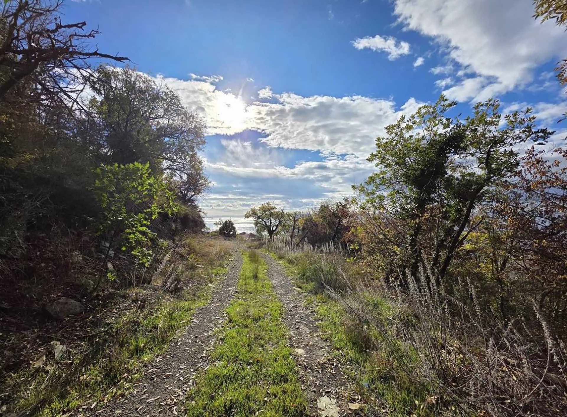 Администрация муниципального образования город Новороссийск