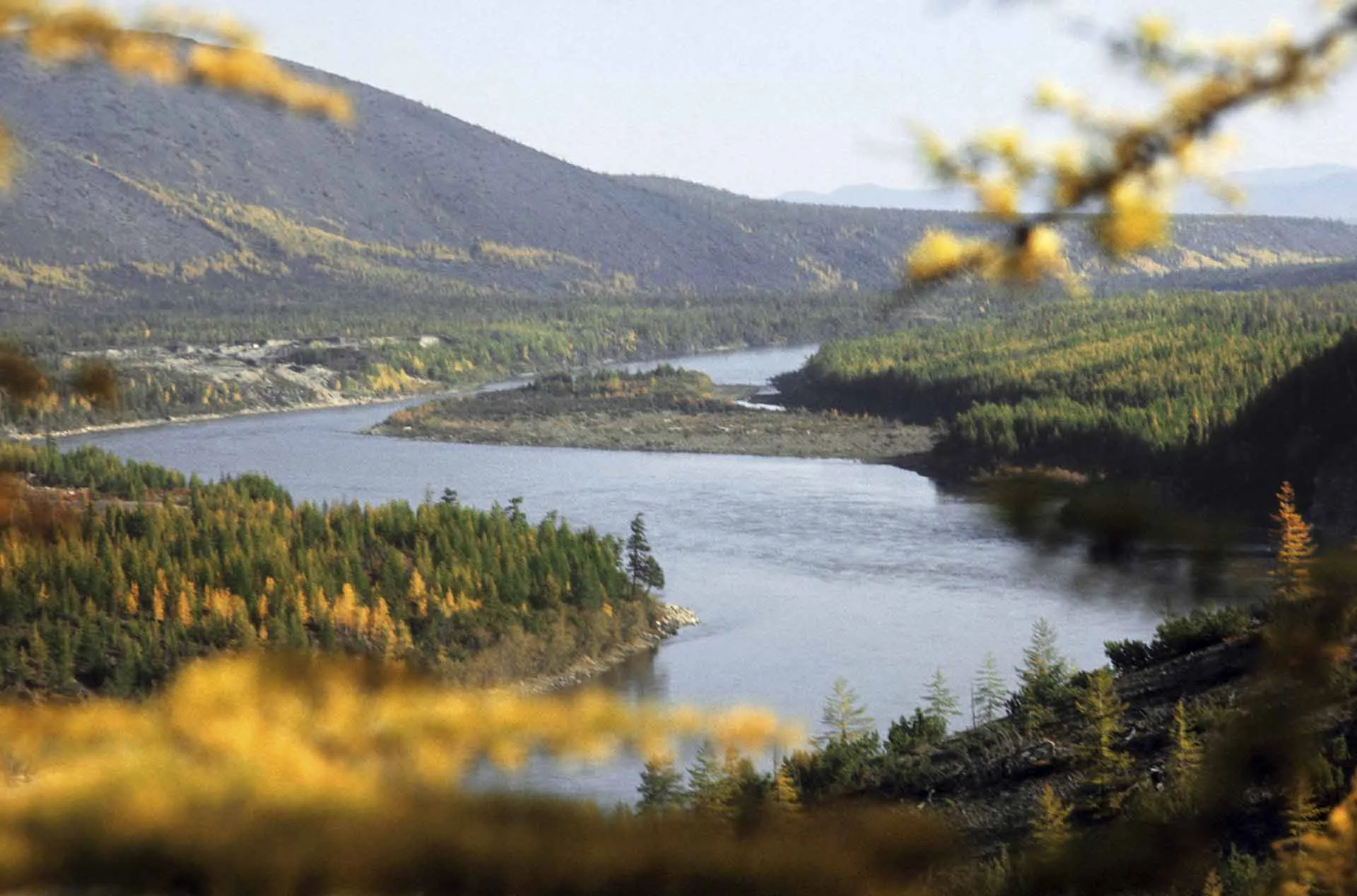 Сергей Белявый/ТАСС
