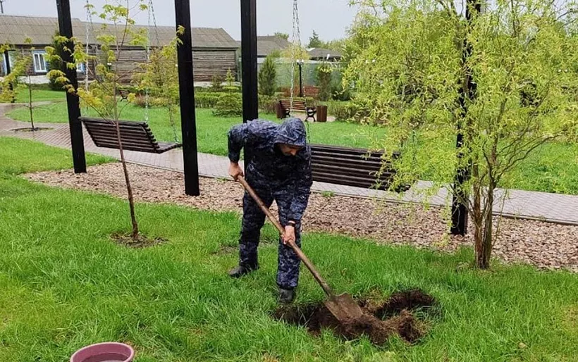 В&nbsp;Самарской области высадят пять миллионов деревьев