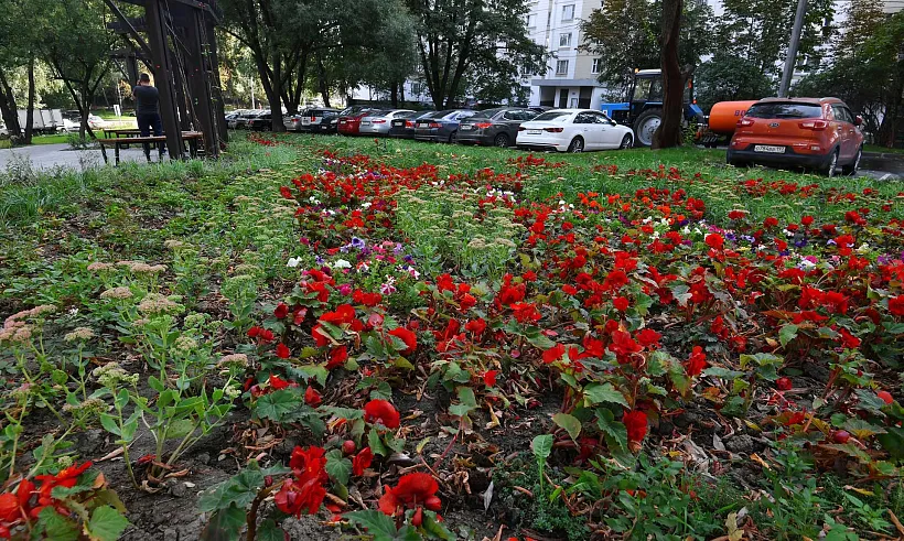 В&nbsp;центре Севастополя высадили клумбу в&nbsp;форме звезды