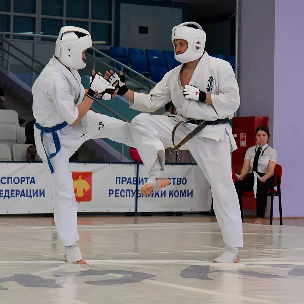 В&nbsp;Республике Коми состоялся чемпионат региона по&nbsp;кекусинкай