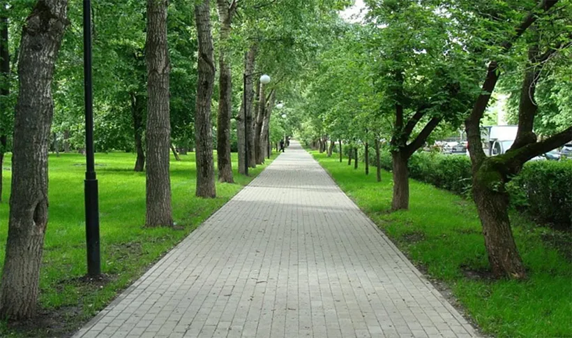 В&nbsp;Новгородской области благоустроят аллею в&nbsp;парке на&nbsp;берегу реки Шелони
