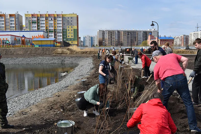 Первые кустарники высадили в&nbsp;новом парке в&nbsp;Курганской области