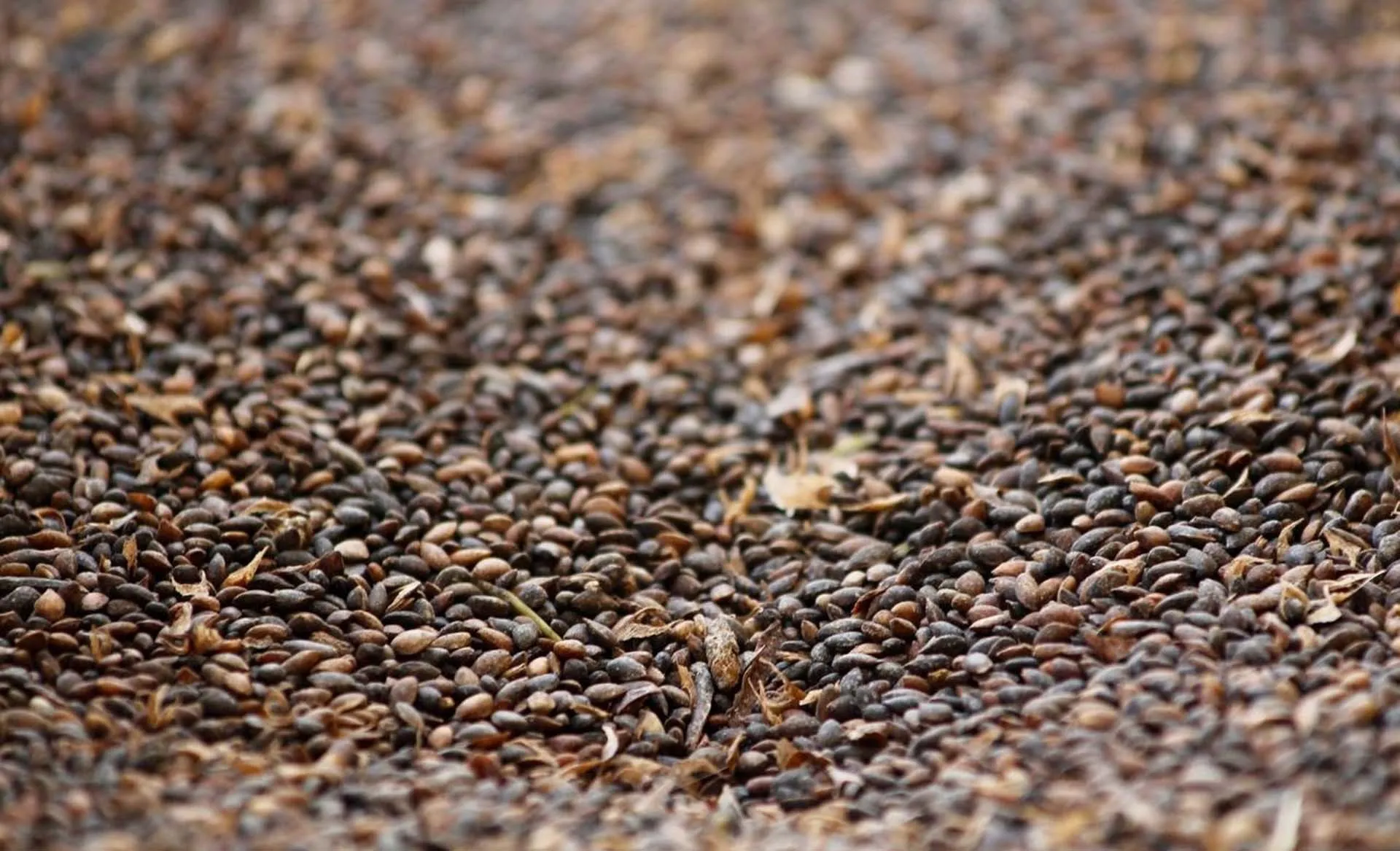 Министерство природных ресурсов и экологии Самарской области