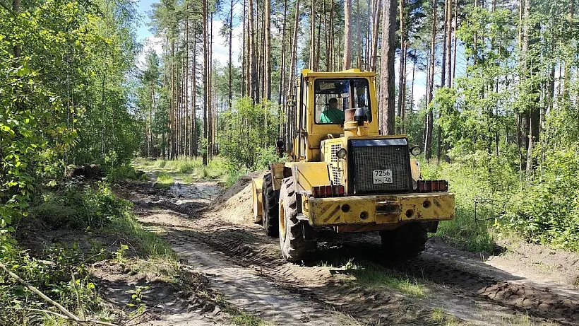 В&nbsp;Липецкой области обустроили более 1000&nbsp;км минерализованных полос
