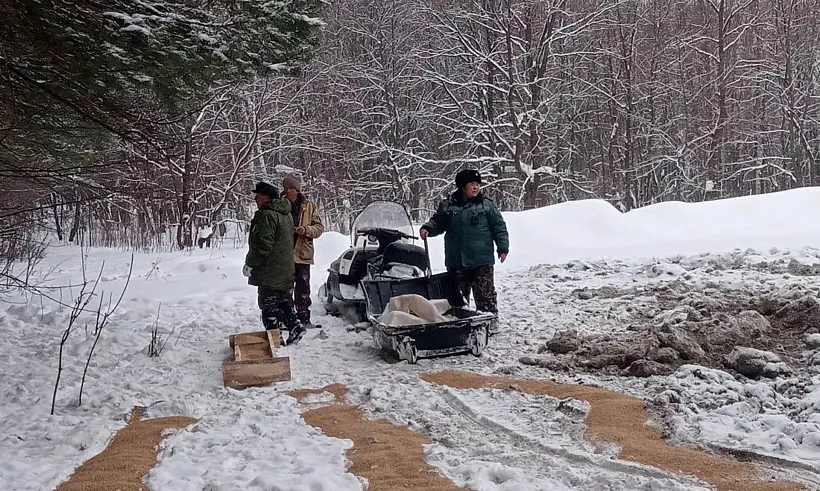 В&nbsp;Башкирии подготовили подкормочные площадки для&nbsp;диких животных