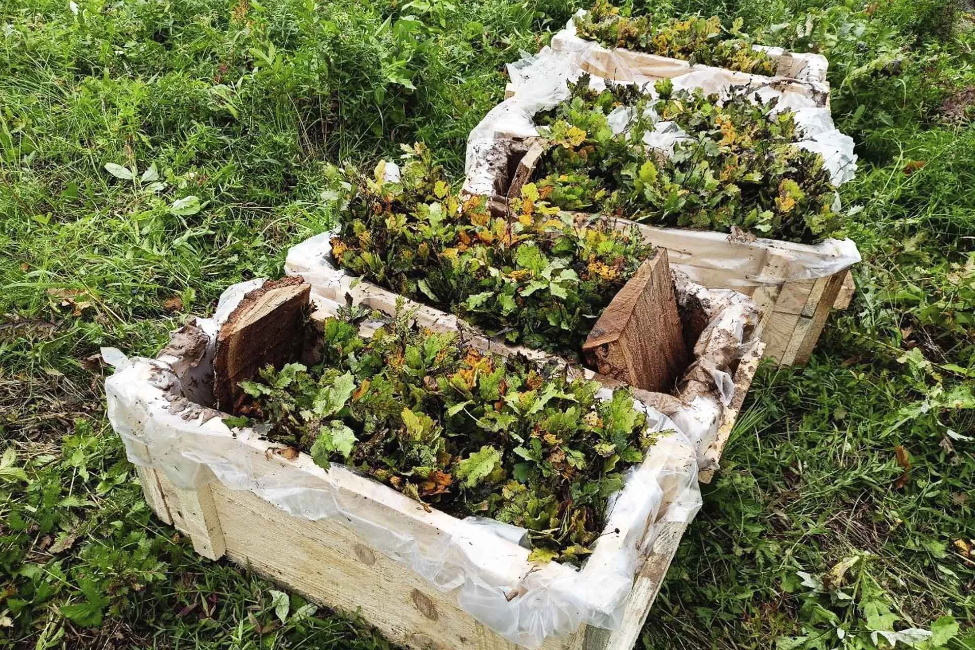 Минприроды Саратовской области
