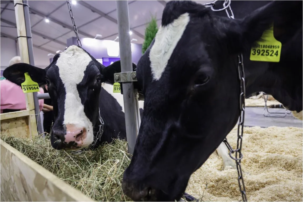 Министерство информации и молодежной политики Московской области