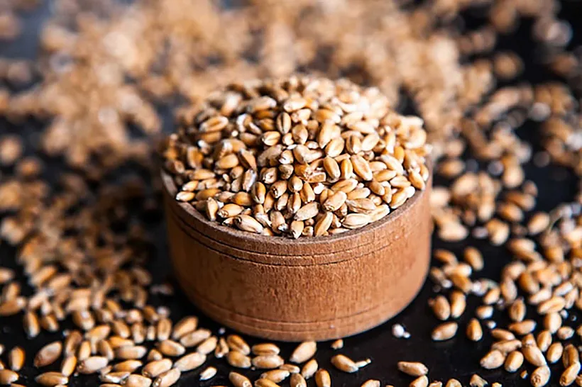 Компания из&nbsp;Новосибирской области получила знак &laquo;Сделано в&nbsp;России&raquo;