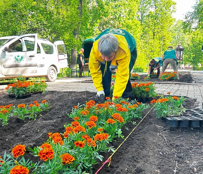 Осенью на&nbsp;территории городского округа Дубна высадят более 35&nbsp;тысяч цветов