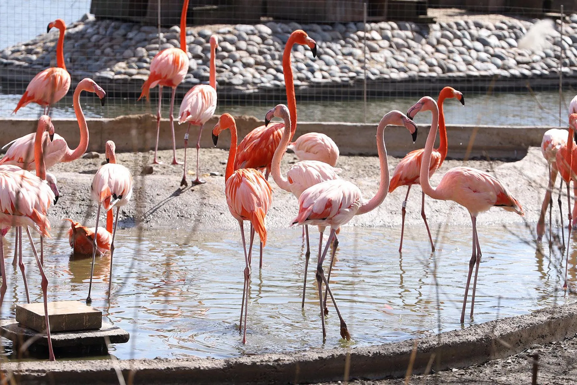 Департамент экономической политики и развития г. Москвы