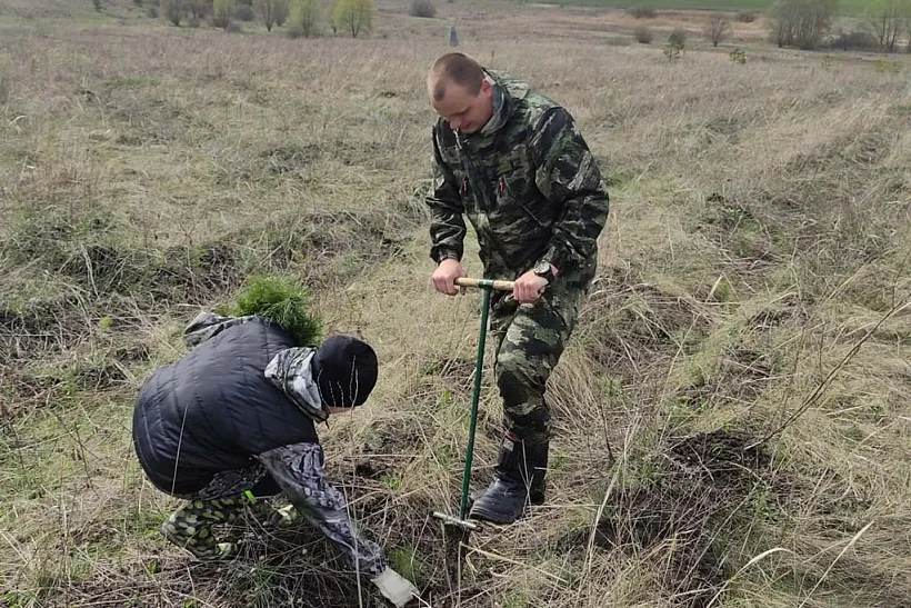 В&nbsp;Яковлевском городском округе Белгородской области обновили геоглиф