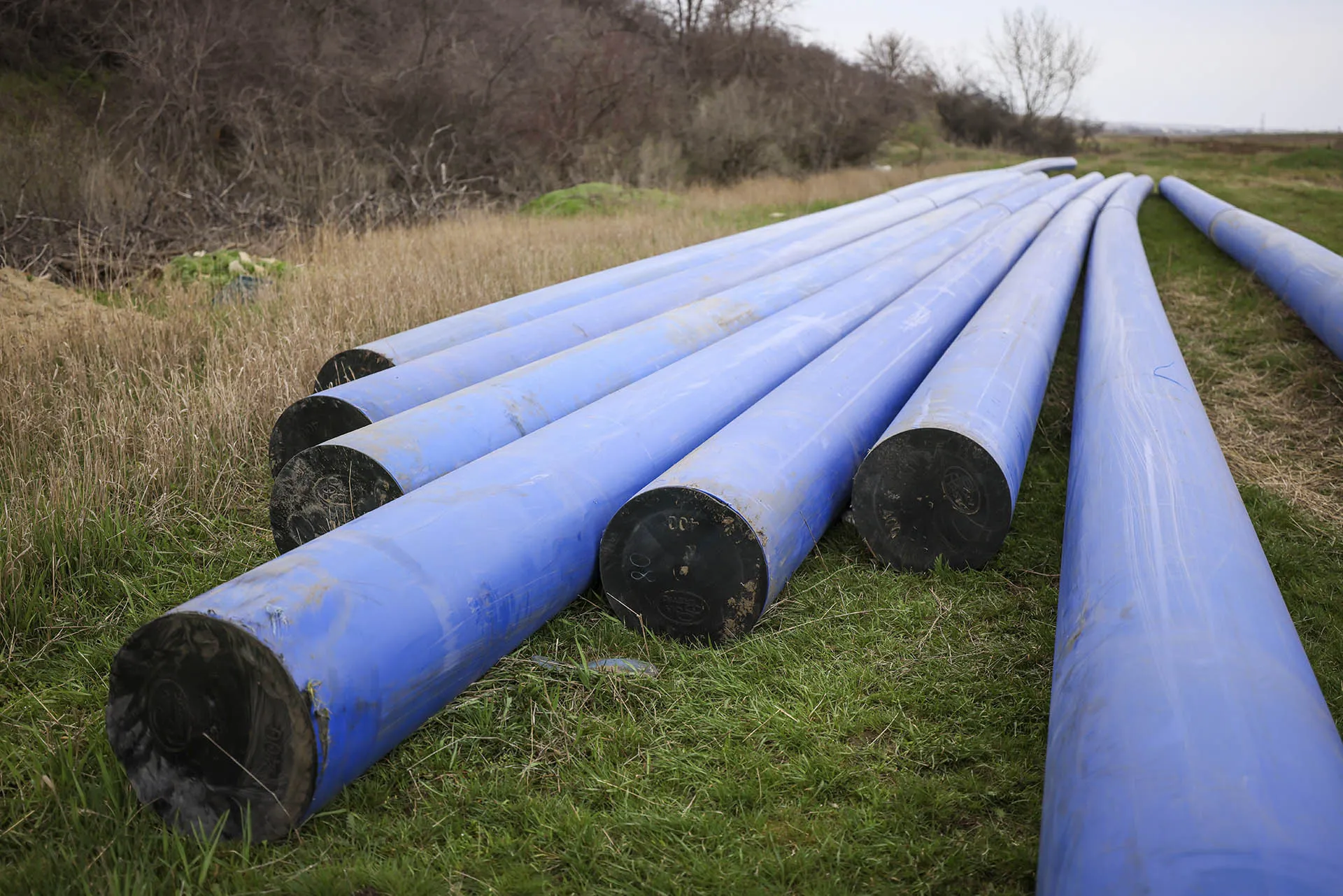 Александр Река/ТАСС