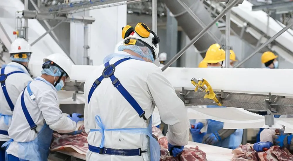 Агентство проектного управления Приморского края (РПО)