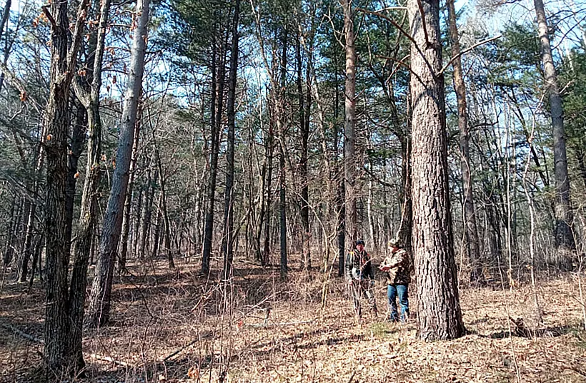 В&nbsp;Приморье привели в&nbsp;порядок 10&nbsp;гектаров Сергеевского лесничества