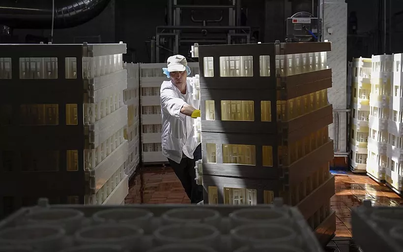 Алтайские предприятия-участники нацпроекта нарастили выработку продукции