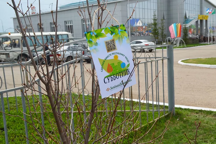 В&nbsp;селе Аскино Республики Башкортостан высадили новую аллею