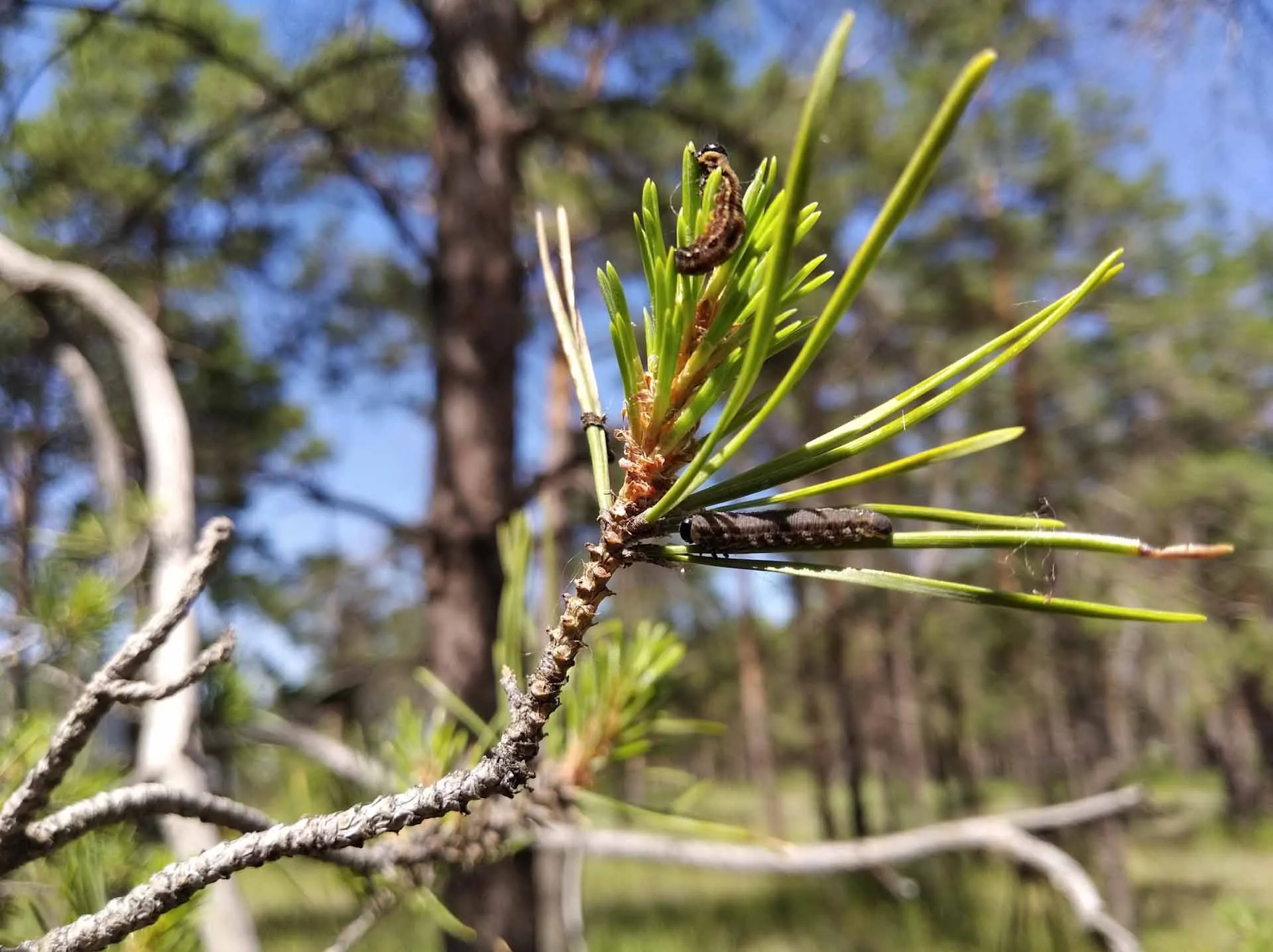 Комитет природных ресурсов, лесного хозяйства и экологии Волгоградской области
