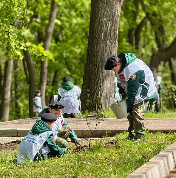 В&nbsp;Самарской области укоренили более 140&nbsp;тыс. сеянцев деревьев и&nbsp;кустарников